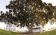 The Sebel Mandurah - thumb 1