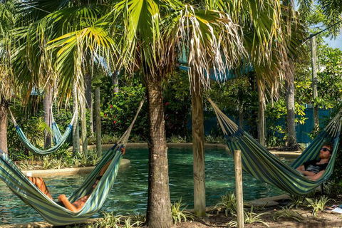 Summer House Backpackers Cairns - QLD Tourism 2
