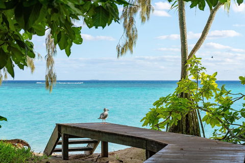 Heron Island Resort - Queensland Tourism 3