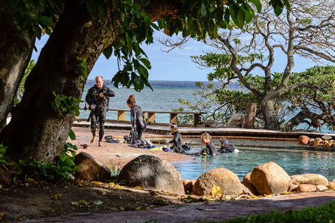 Heron Island Resort - Queensland Tourism 4