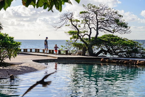 Heron Island Resort - Queensland Tourism 5