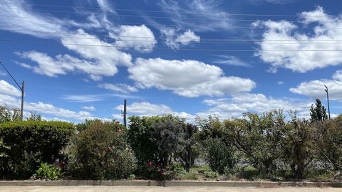 Sapphire City Motor Inn, Inverell - Queensland Tourism 3