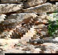 Jenolan Caves House - Queensland Tourism