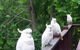 Bluebell Cottage - thumb 5