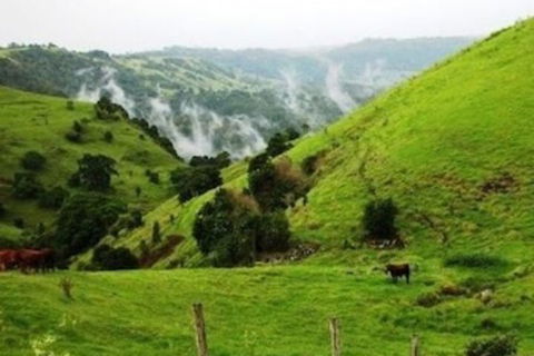 Top Of The Hill - QLD Tourism 1