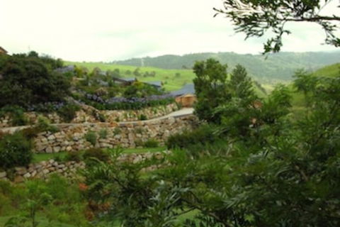 Top Of The Hill - QLD Tourism 5