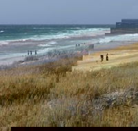 Scarborough  Absolutely Beachfront - Queensland Tourism