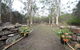 Hobart Bush Cabins - thumb 1