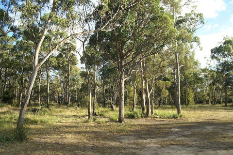 Hobart Bush Cabins - Queensland Tourism 2