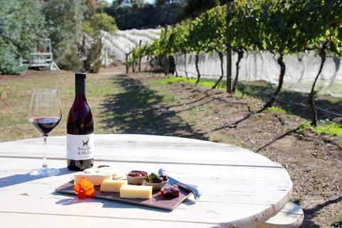 Every Man & His Dog Vineyard - Queensland Tourism 3