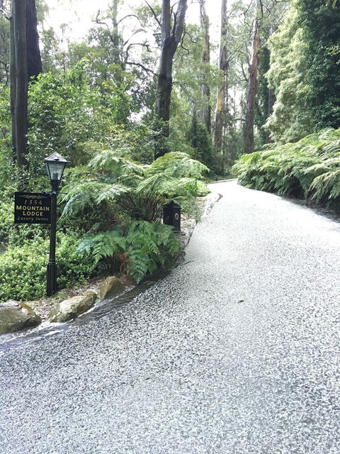Mountain Lodge - QLD Tourism 0