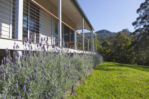 Wilderberry Cottage - QLD Tourism 4