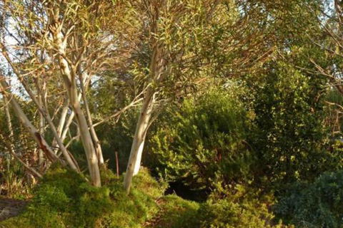 The Linden Bed & Breakfast - Queensland Tourism 4