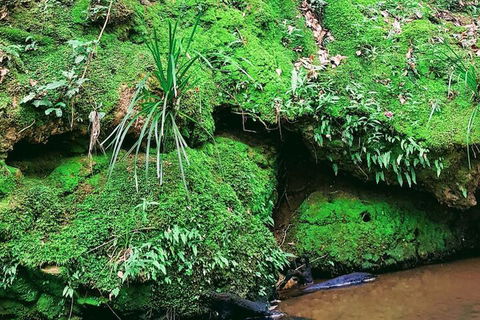 Stokers Lodge - Queensland Tourism 5