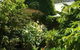 The Fingal Farm - thumb 2