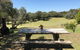 The Fingal Farm - thumb 4