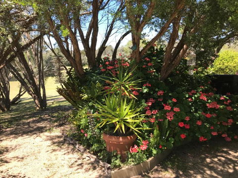 The Fingal Farm - Queensland Tourism 6