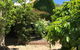 The Fingal Farm - thumb 1