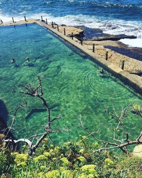 Coogee Beach House - Hostel - QLD Tourism 4