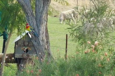 Birdhouse Cottage B & B - Queensland Tourism 5