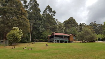 Walpole Wilderness Resort - QLD Tourism 5