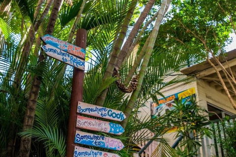 Somewhere To Stay Backpackers - Queensland Tourism 2