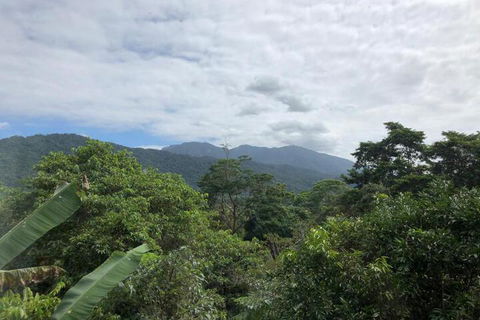 Mossman Gorge Bed & Breakfast - Queensland Tourism 5