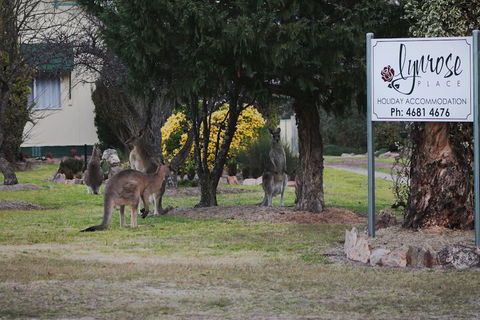 Lynrose Place - QLD Tourism 7