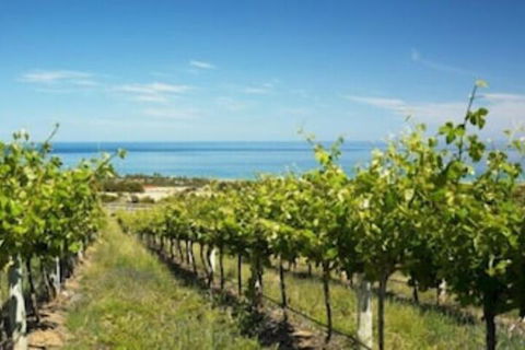 McLaren Vale Backpackers - Queensland Tourism 6