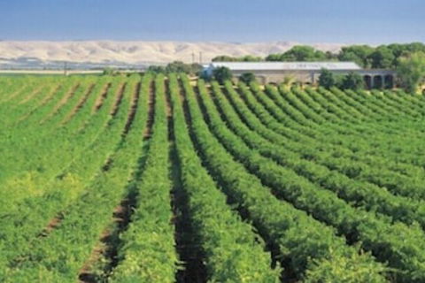 McLaren Vale Backpackers - Queensland Tourism 4