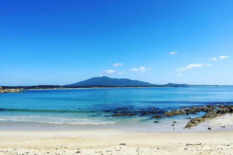 Bermagui Beach Hotel - QLD Tourism 2