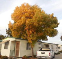 Wodonga Caravan  Cabin Park - Queensland Tourism