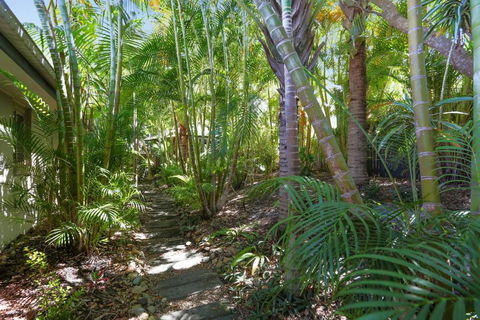 Palm Trees Noosa - Queensland Tourism 6