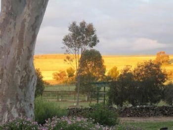 Stone Hut Cottage - Queensland Tourism 6