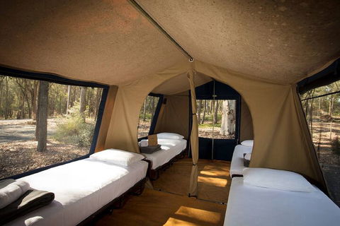 Paradise Country Farmstay - Queensland Tourism 6