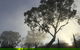 Barossa White House - thumb 3