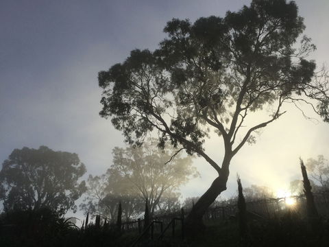 Barossa White House - Queensland Tourism 3
