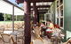 Royal National Park Cottages - thumb 2