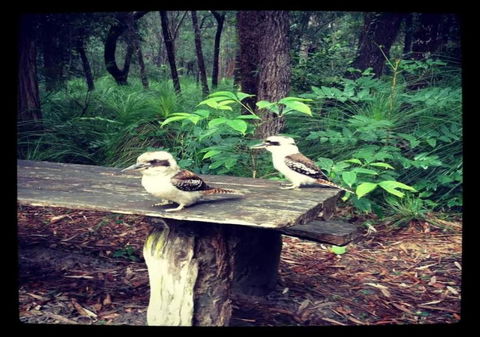 Getaways At Byfield - QLD Tourism 1