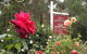 Woodlands Of Bridgetown B & B - thumb 5