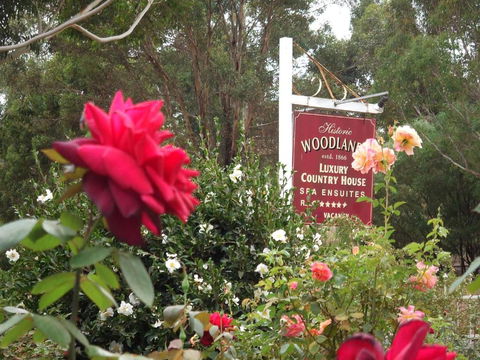 Woodlands Of Bridgetown B & B - Queensland Tourism 5