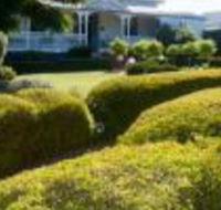Whiskey Gully Wines - QLD Tourism