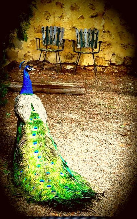 A La Folly - Queensland Tourism 4