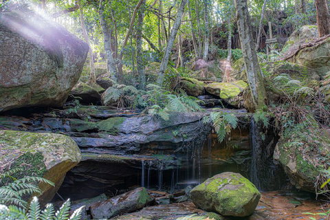 Waterfall Springs Retreat And Wildlife Sanctuary - QLD Tourism 3