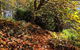 Mountain Blue Guest Accommodation - thumb 1