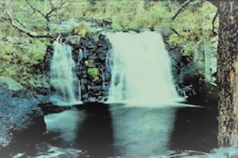 Little Styx Cabins - Queensland Tourism 4