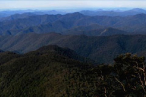 Little Styx Cabins - Queensland Tourism 1