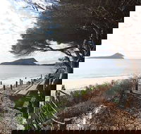 Beachfront Shoal Bay - QLD Tourism