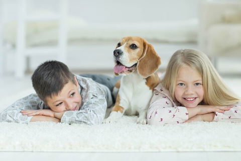 BOUTIQUE STAYS - Brighton Abode - Queensland Tourism 5