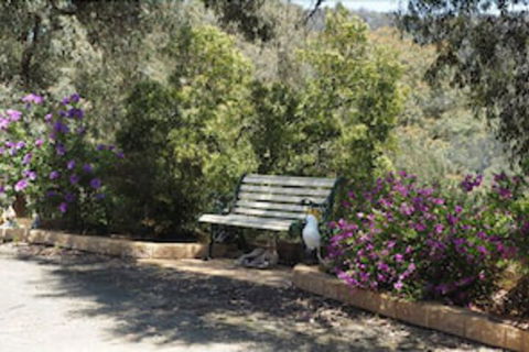 Wild Cherry Bed & Breakfast - Queensland Tourism 3